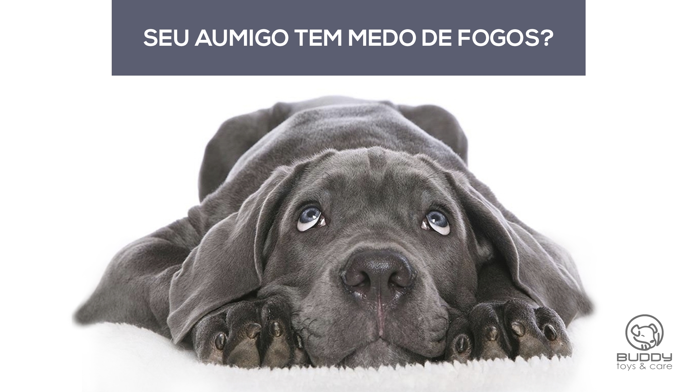 O que fazer para amenizar o medo dos fogos 